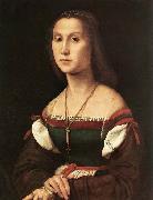 RAFFAELLO Sanzio Portrait of a Woman oil painting
